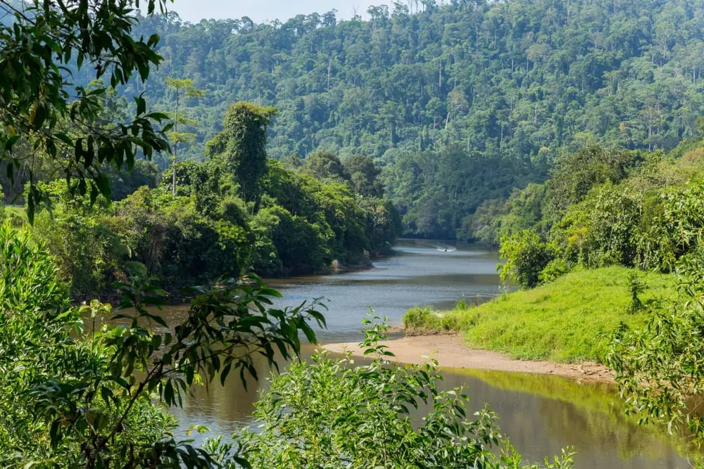 Ulu Temburong National Park