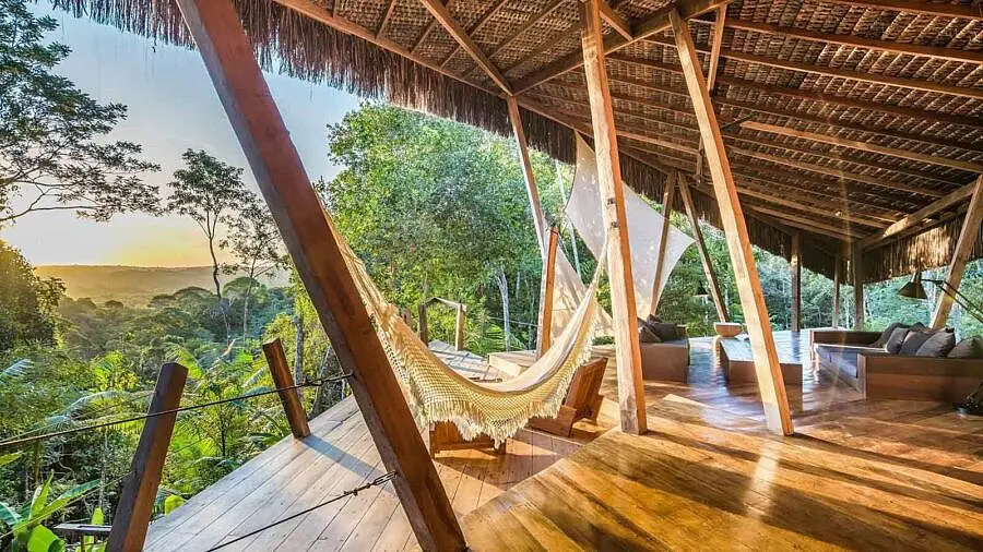 Treehouse LP