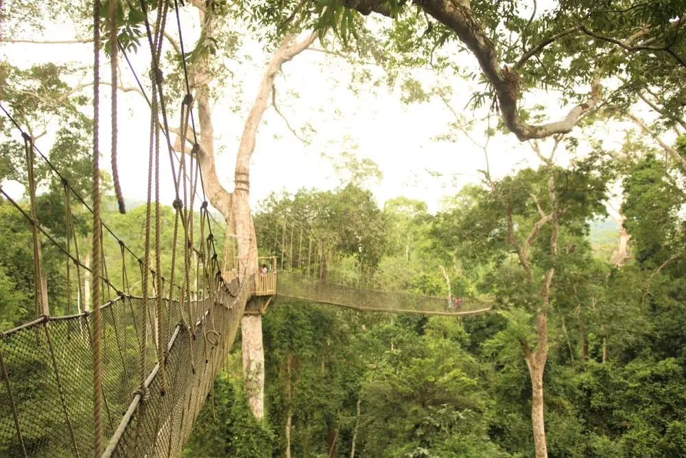 Canopy Walk, Ghana
