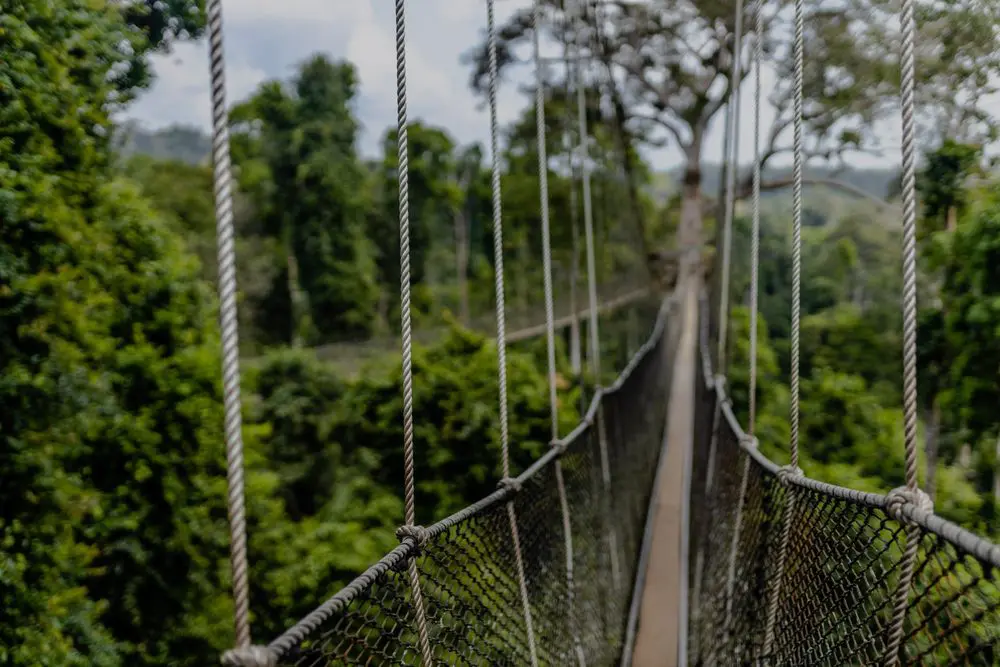 Canopy Walk, Ghana