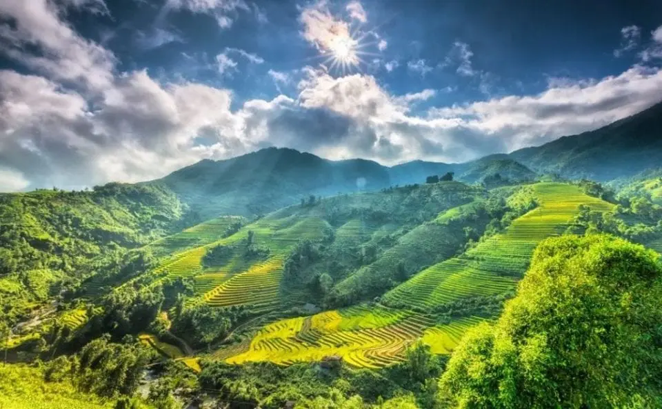 Vietnam