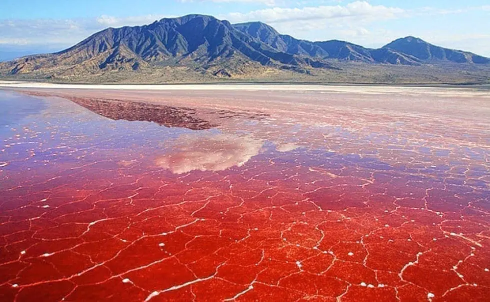 Lago Natron, Tanzania