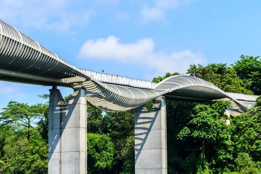 Ponte Henderson Waves, Singapura