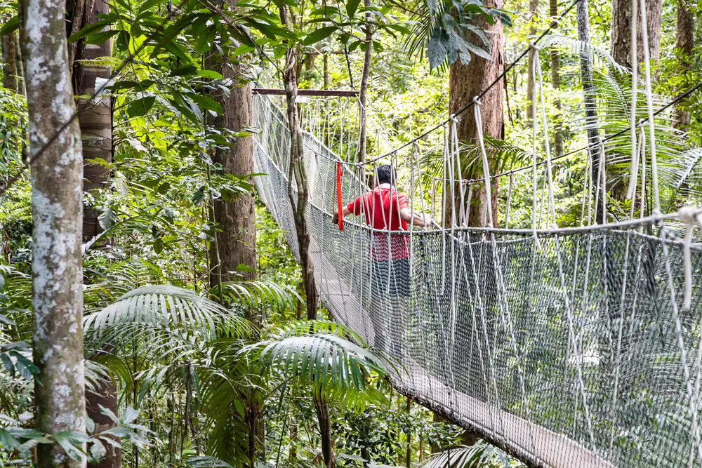 Taman Negara Canopy Walkway