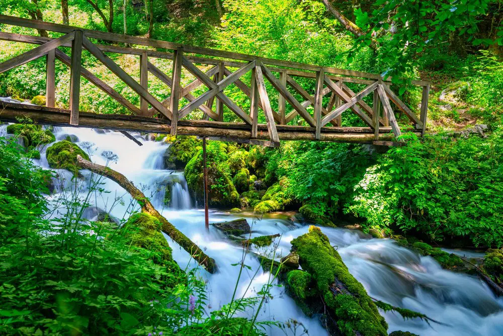 Montenegro Rainforest Bridge, Costa Rica