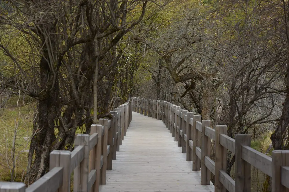 A Ponte dos Imortais, Huang Shang China