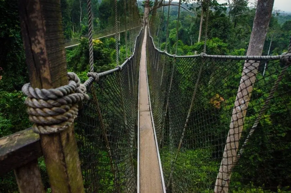 Canopy Walk, Ghana