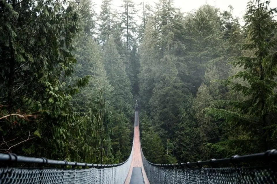 Ponte sospeso di Capilano, Canada