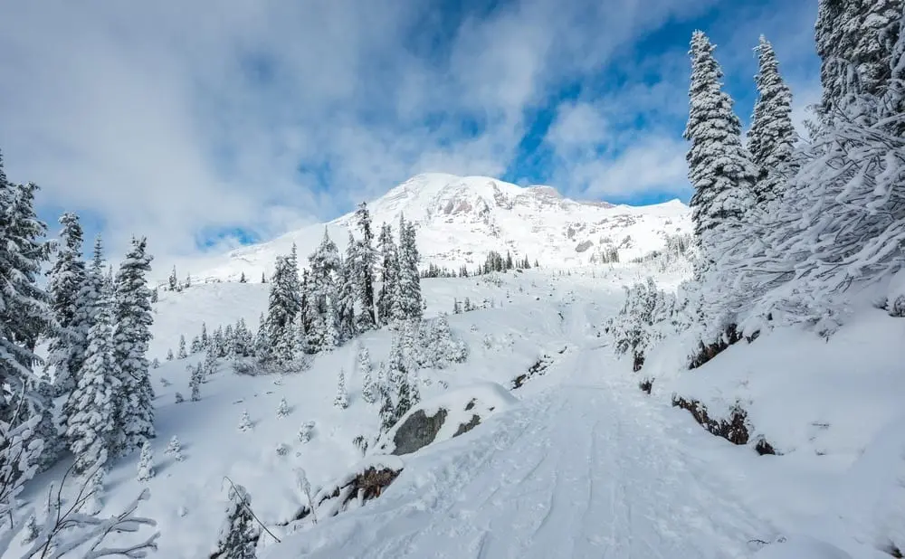 Snowiest Place On Earth : Paradise, Washington