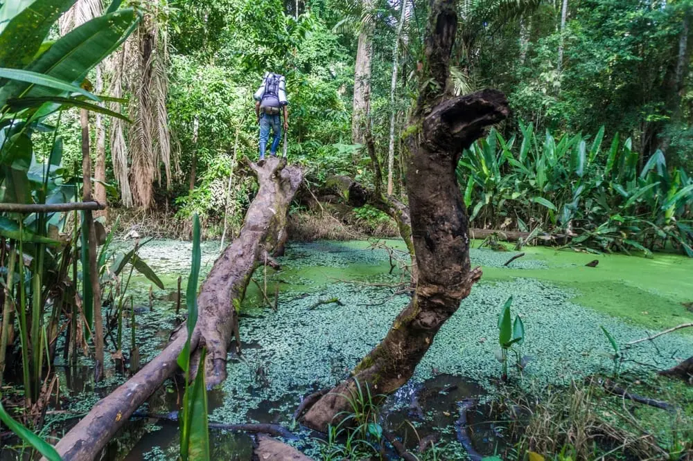 Parco Nazionale Madidi, Bolivia