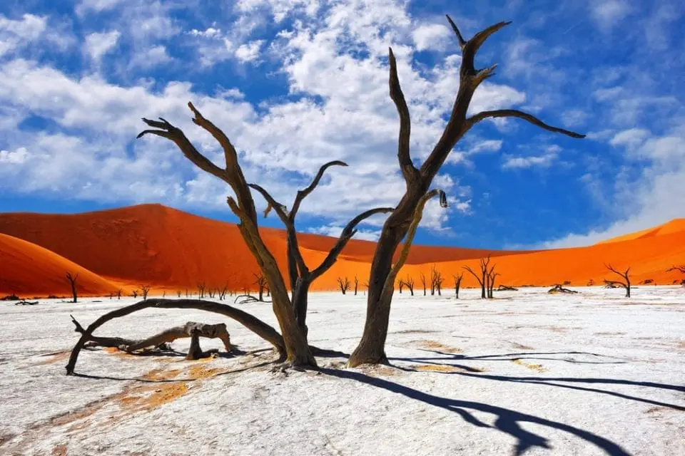 Namib Naukluft Park, Namibië
