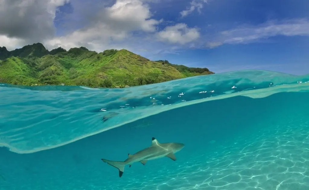 Reunion Island