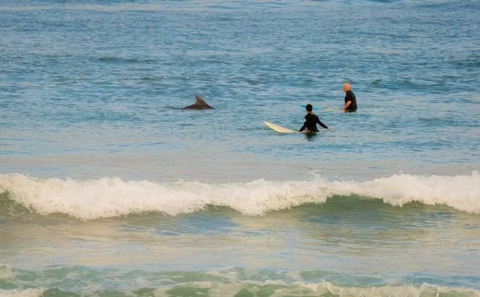 New Smyrna Beach - Florida