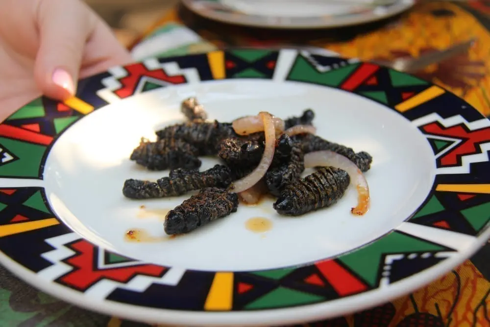 Mopane Worms