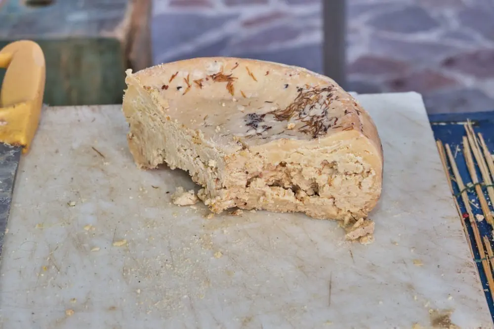 Casu Marzu