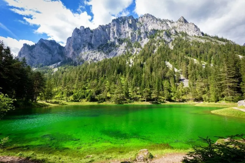 Gruner See