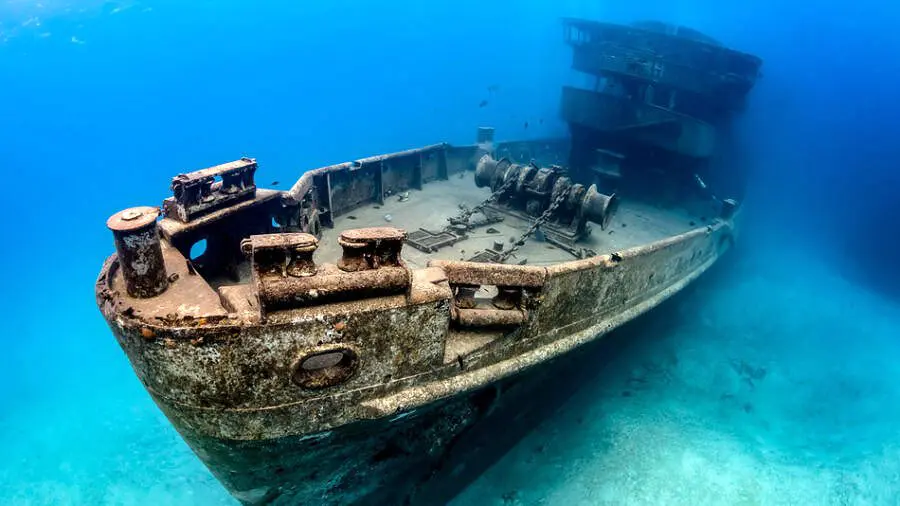 15 Incredible Discoveries Made by Divers