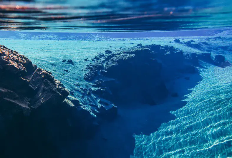 バルチック海の異変
