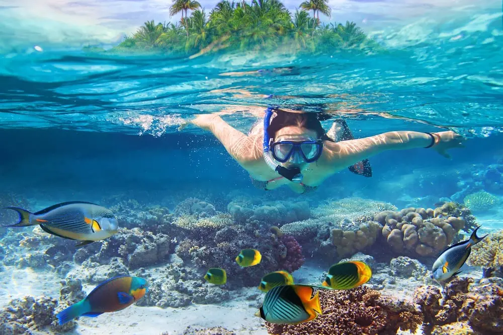 Marine life Bali