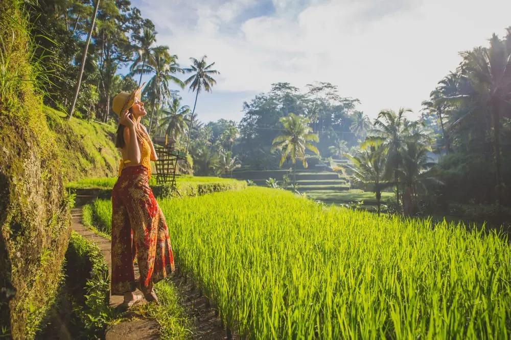 Rice terraces of Jatiluwih