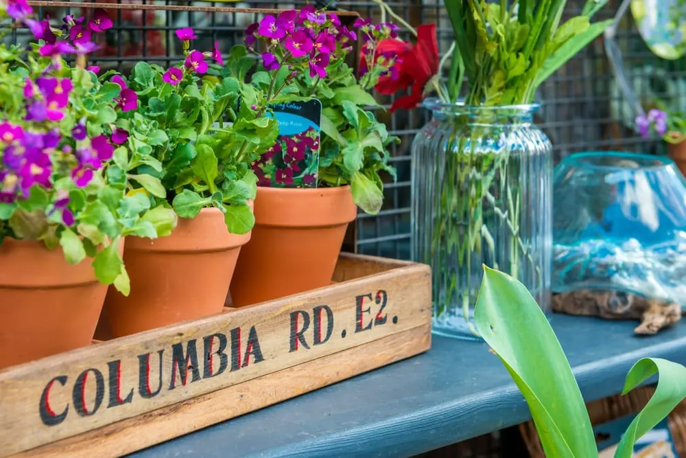 Columbia Road Flower Market