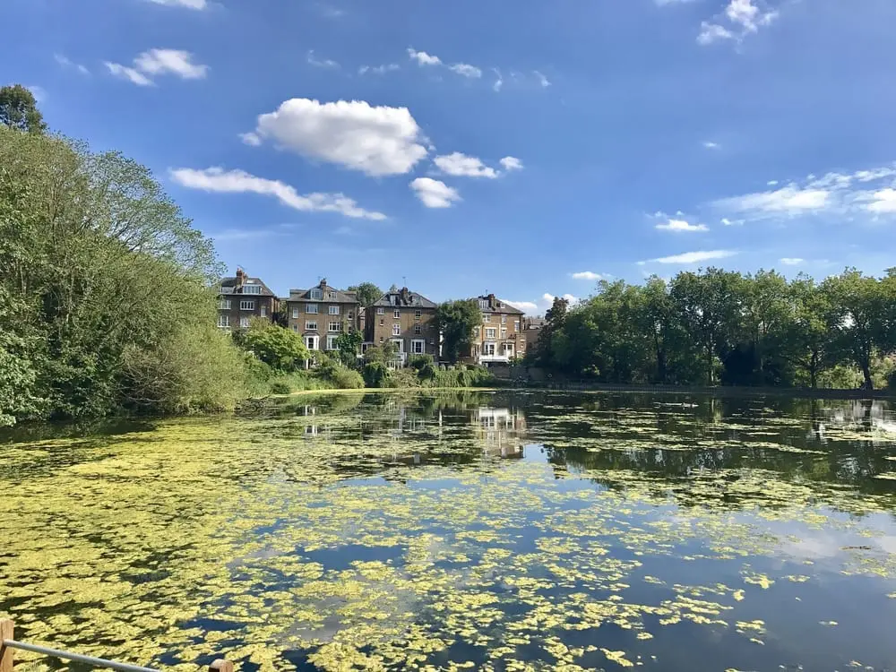 Hampstead Heath 
