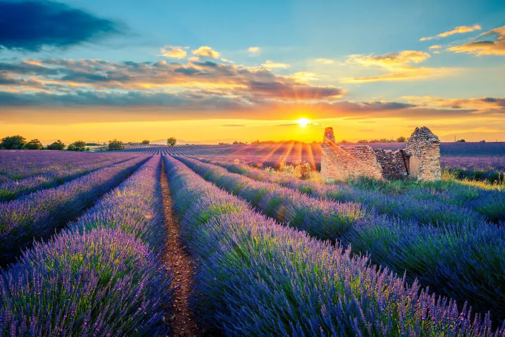 8 Best Places to Visit in France this Summer