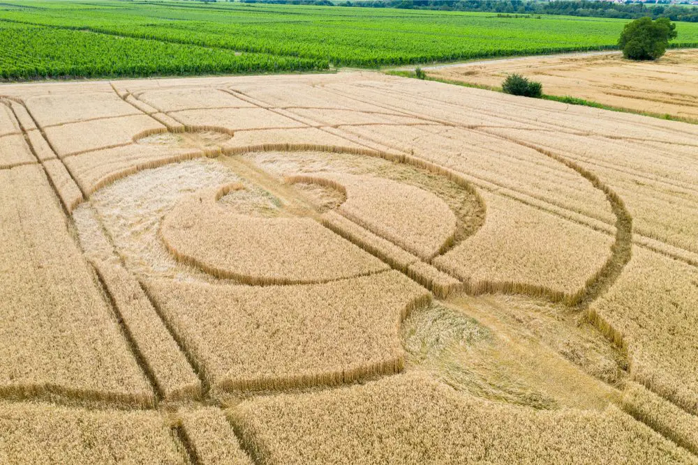 A mysterious crop circle