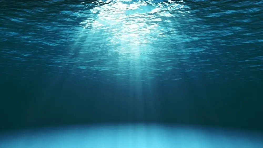 The Julia sound