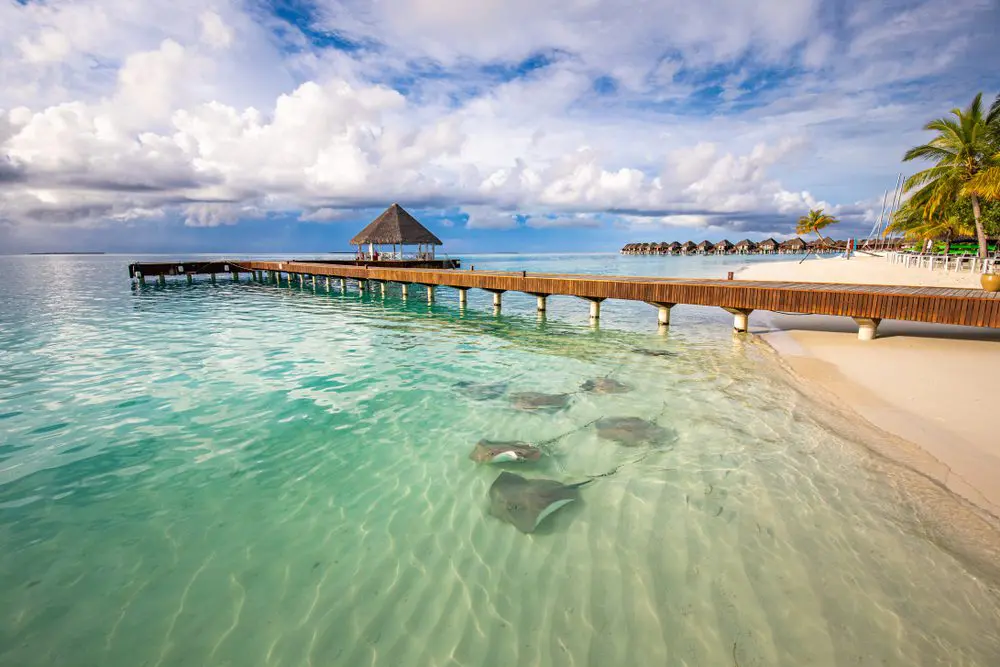 Baa Atoll Activities