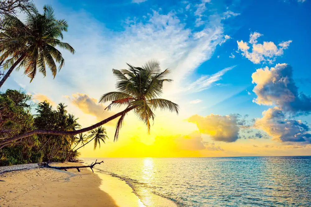 Baa Atoll - World Class Isolation and Biodiversity
