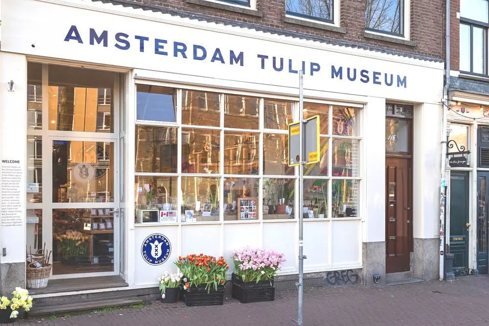 Amsterdam Tulip Museum